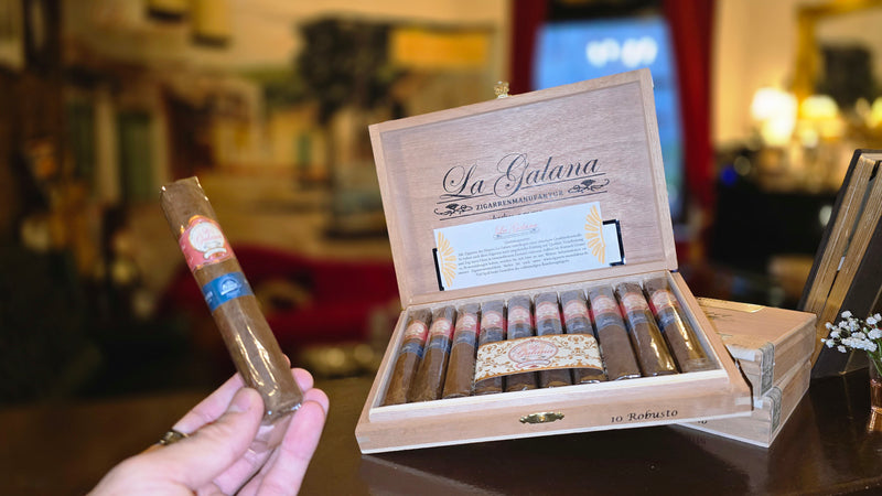 la galana robusto zigarre etwas genuss special edition etwasgenuss