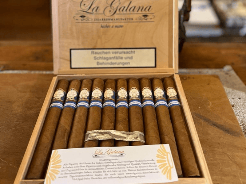 10 Stück Private-Label PL4 - LA GALANA - LA GALANA - Zigarre - Zigarren - Zigarren kaufen - Zigarrendreherin | Zigarrendreher | Zigarrenmanufaktur | Tabakgeschäft