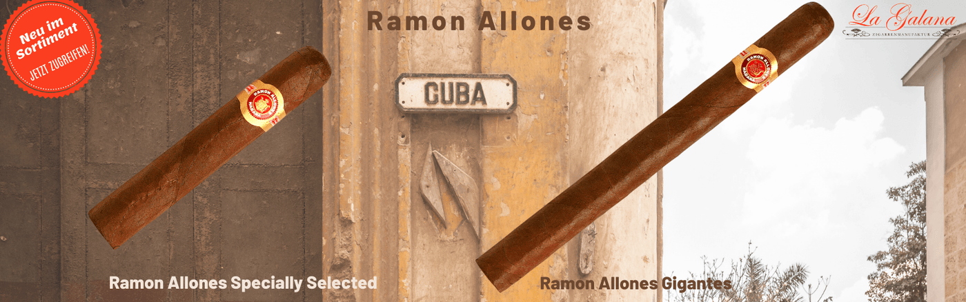 Ramon Allones - LA GALANA - LA GALANA - Zigarre - Zigarren - Zigarren kaufen - Zigarrendreherin | Zigarrendreher | Zigarrenmanufaktur | Tabakgeschäft | habanos point | Seminare | Events | Cuba | Zigarren Set | Privatelabel | Banderole | Lesungen