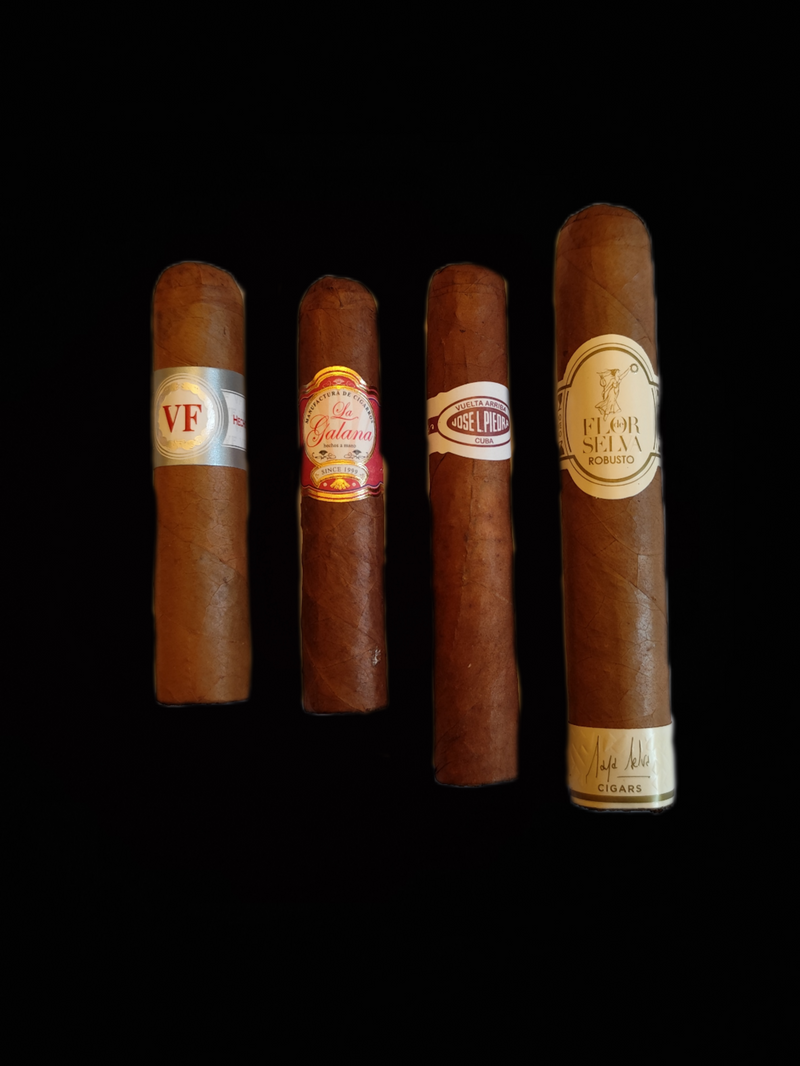 Einsteiger Sampler