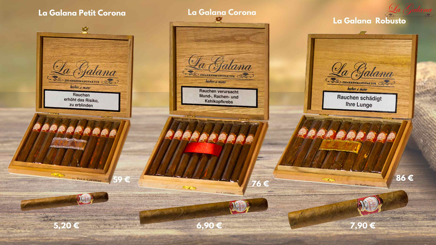 La-Galana Petit Corona Robusto Zigarren Zigarre