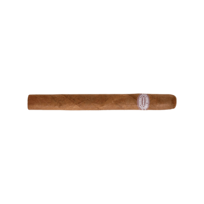 Rafael Gonzalez Panatelas Extra Zigarre
