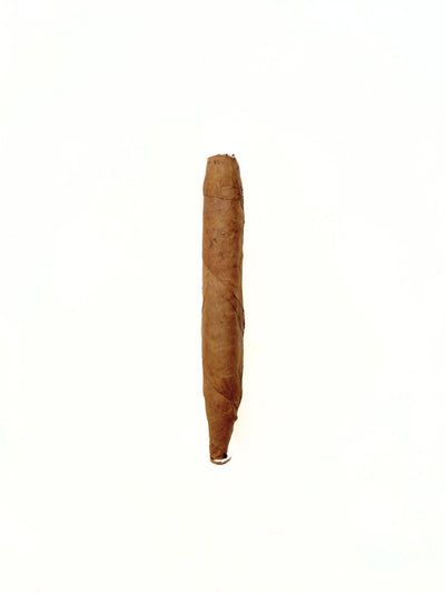 De Olifant Knakje - LA GALANA - LA GALANA - Zigarre - Zigarren - Zigarren kaufen - Zigarrendreherin | Zigarrendreher | Zigarrenmanufaktur | Tabakgeschäft