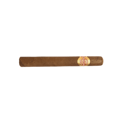 Quintero - Londres Extra - LA GALANA - LA GALANA - Zigarre - Zigarren - Zigarren kaufen - Zigarrendreherin | Zigarrendreher | Zigarrenmanufaktur | Tabakgeschäft