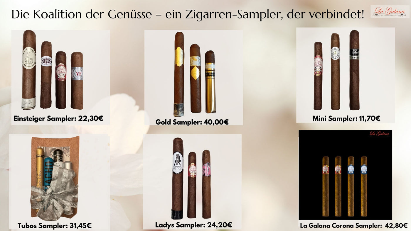 Exklusives Zigarren-Sampler Bundle – Beste Cigar-Auswahl