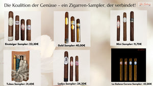 Exklusives Zigarren-Sampler Bundle – Beste Cigar-Auswahl