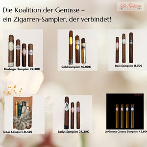 Exklusives Zigarren-Sampler Bundle – Beste Cigar-Auswahl