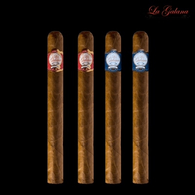 La Galana Churchill Sampler - LA GALANA - LA GALANA - Zigarre - Zigarren - Zigarren kaufen - Zigarrendreherin | Zigarrendreher | Zigarrenmanufaktur | Tabakgeschäft