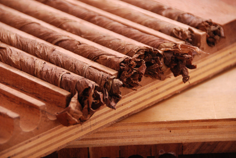 Zigarrenrollseminar Intensiv - LA GALANA - LA GALANA - Zigarre - Zigarren - Zigarren kaufen - Zigarrendreherin | Zigarrendreher | Zigarrenmanufaktur | Tabakgeschäft
